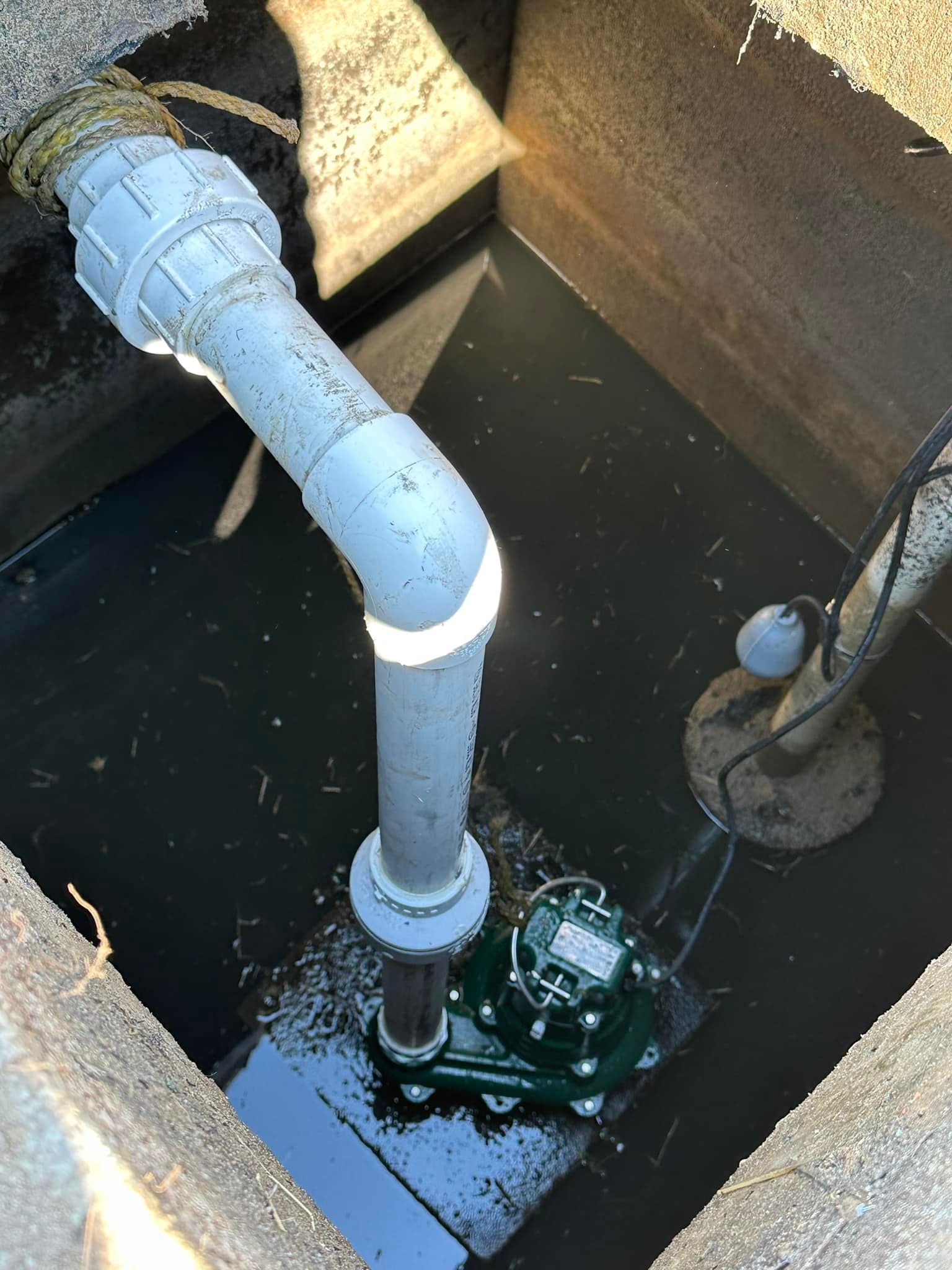 New septic effluent pump and float switch