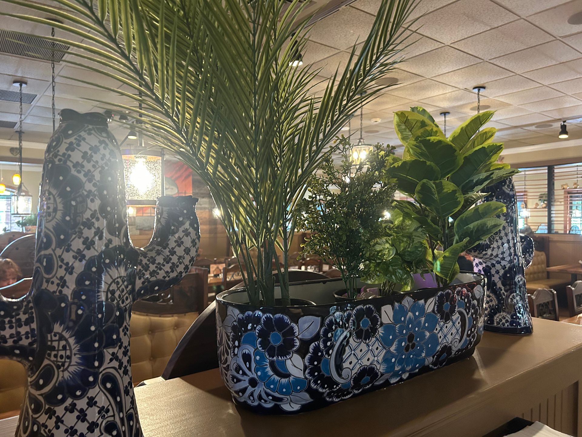 Planter box with various green plants, blue and white patterned exterior, on a wooden counter in a restaurant.