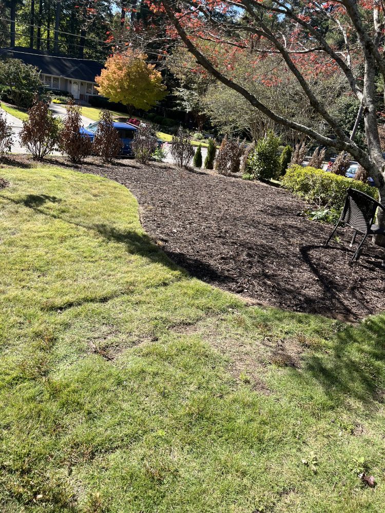 A lush green lawn with a path leading to a house.