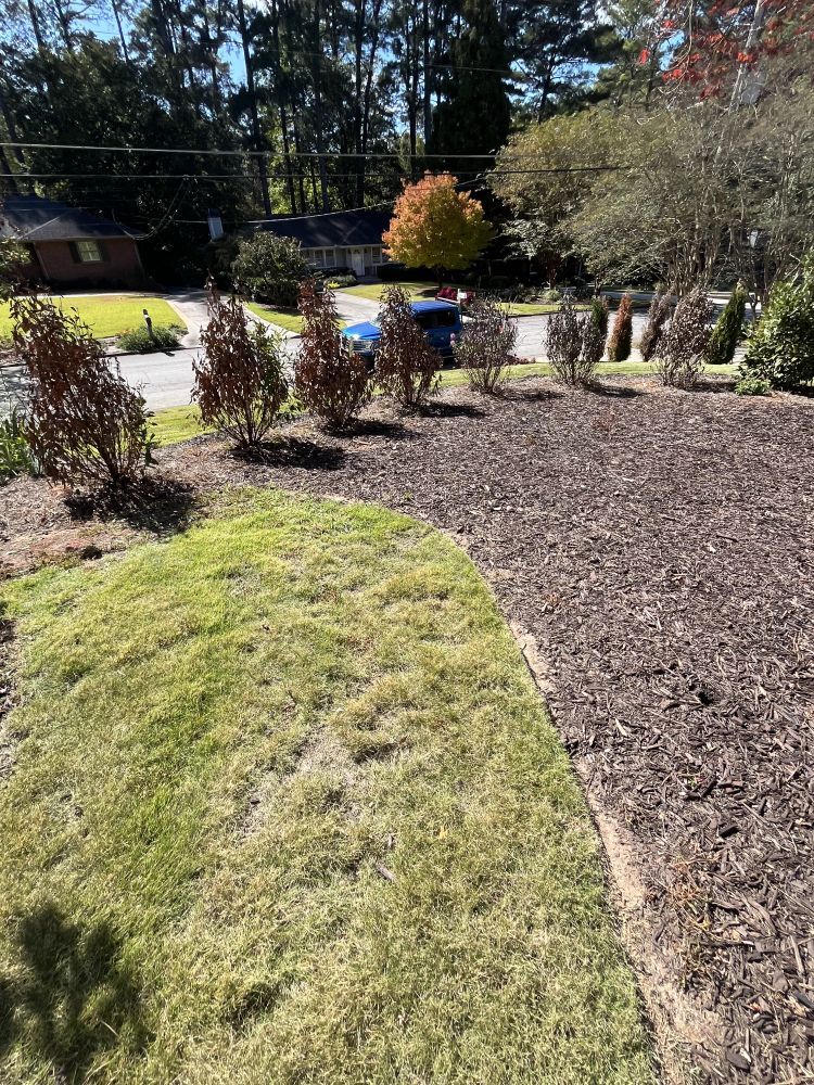 A lush green yard with a lot of mulch and trees in the background.
