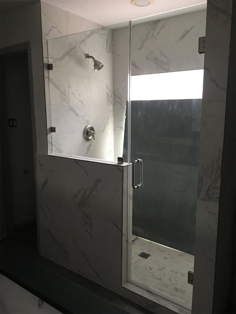 Shower door