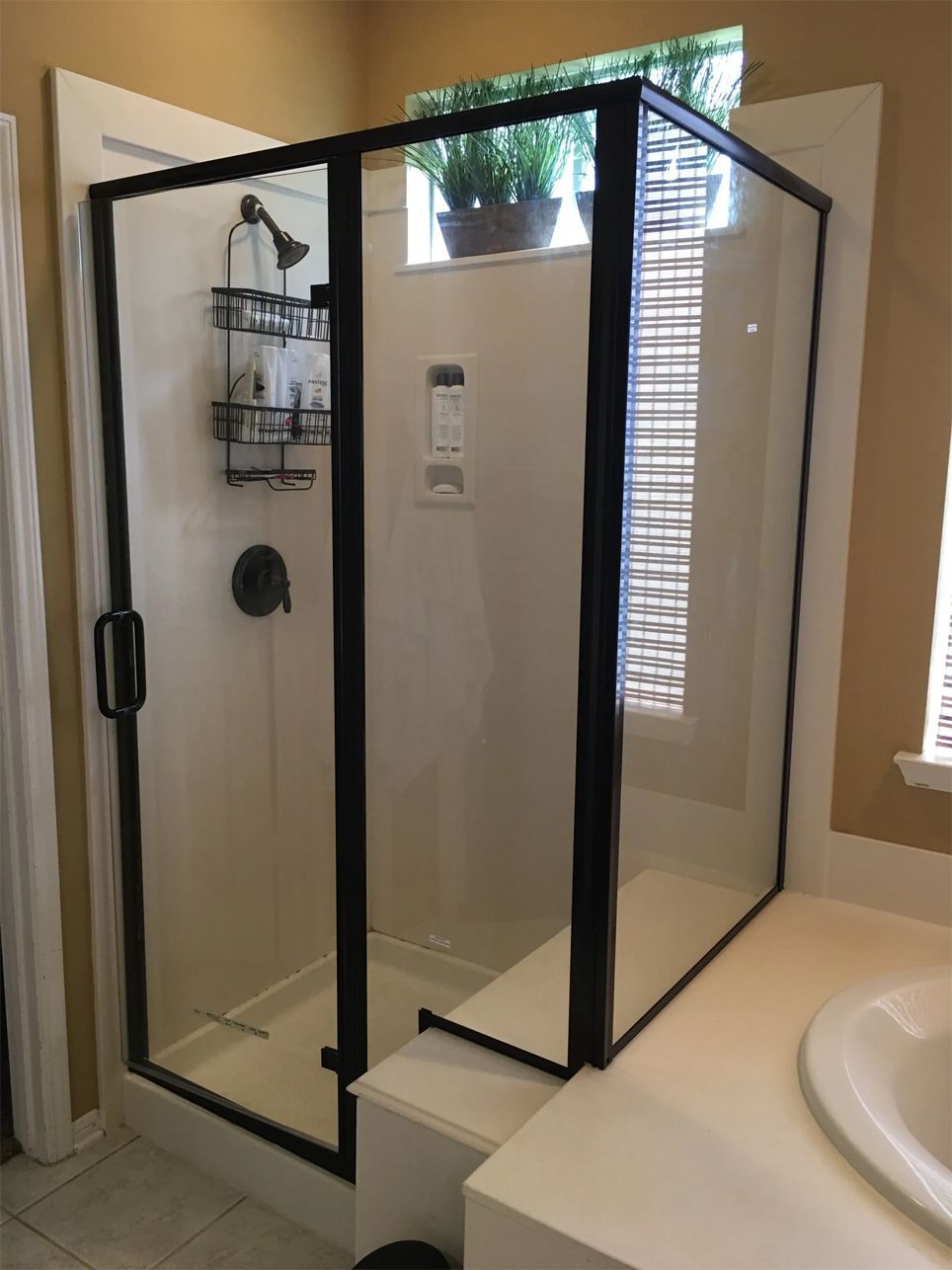 Shower door