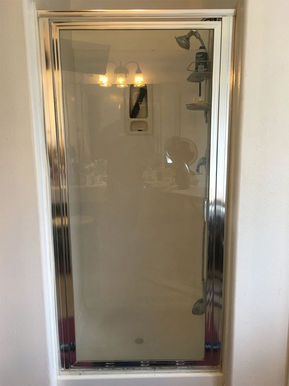 Shower door