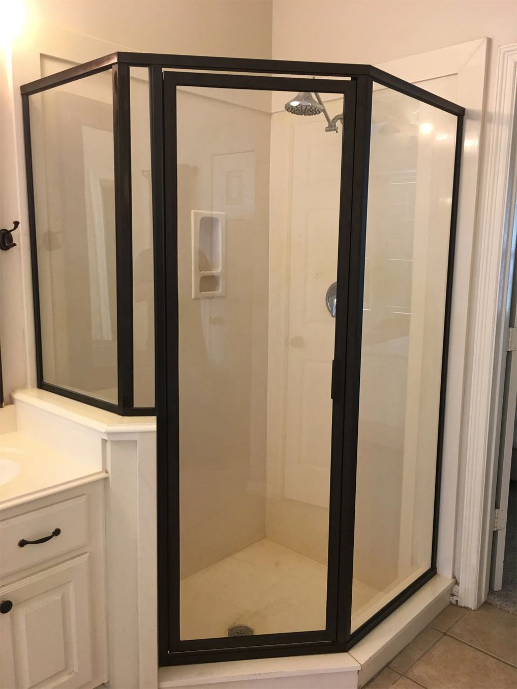 Shower door