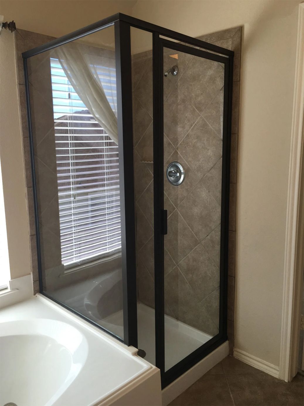 Shower door