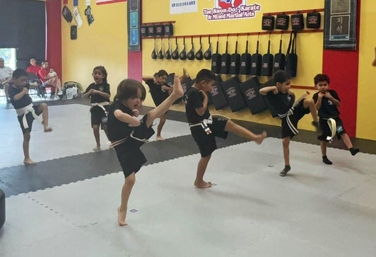 Children in black uniforms practice martial arts kicks in a gym.