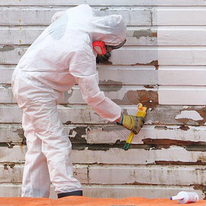 mold removal services westchester county ny