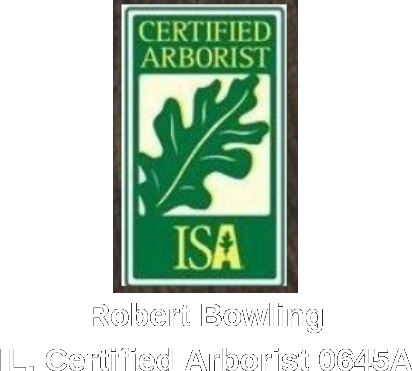 Certified Arborist 