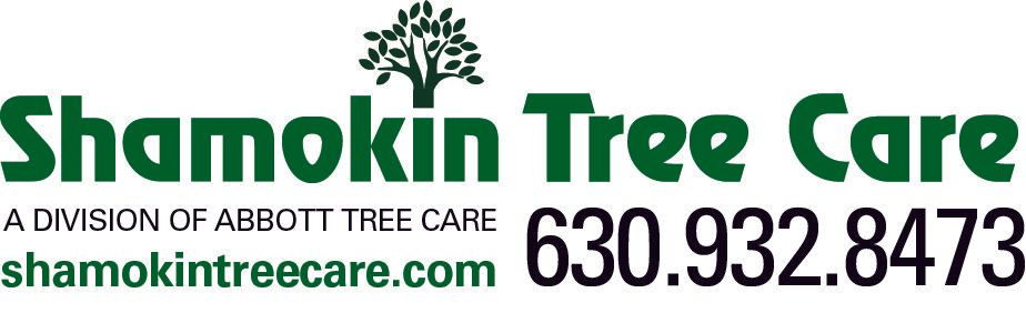 Shamokin Tree Care Logo