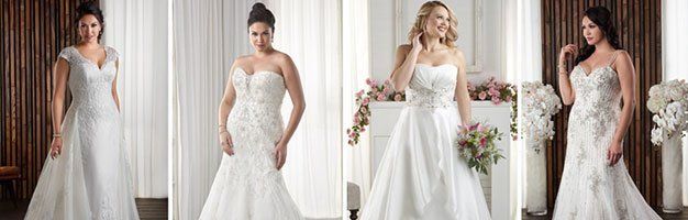 Plus Size Wedding Gowns Bridal Gown Albuquerque Nm