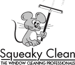 Squeaky Clean LLC | logo