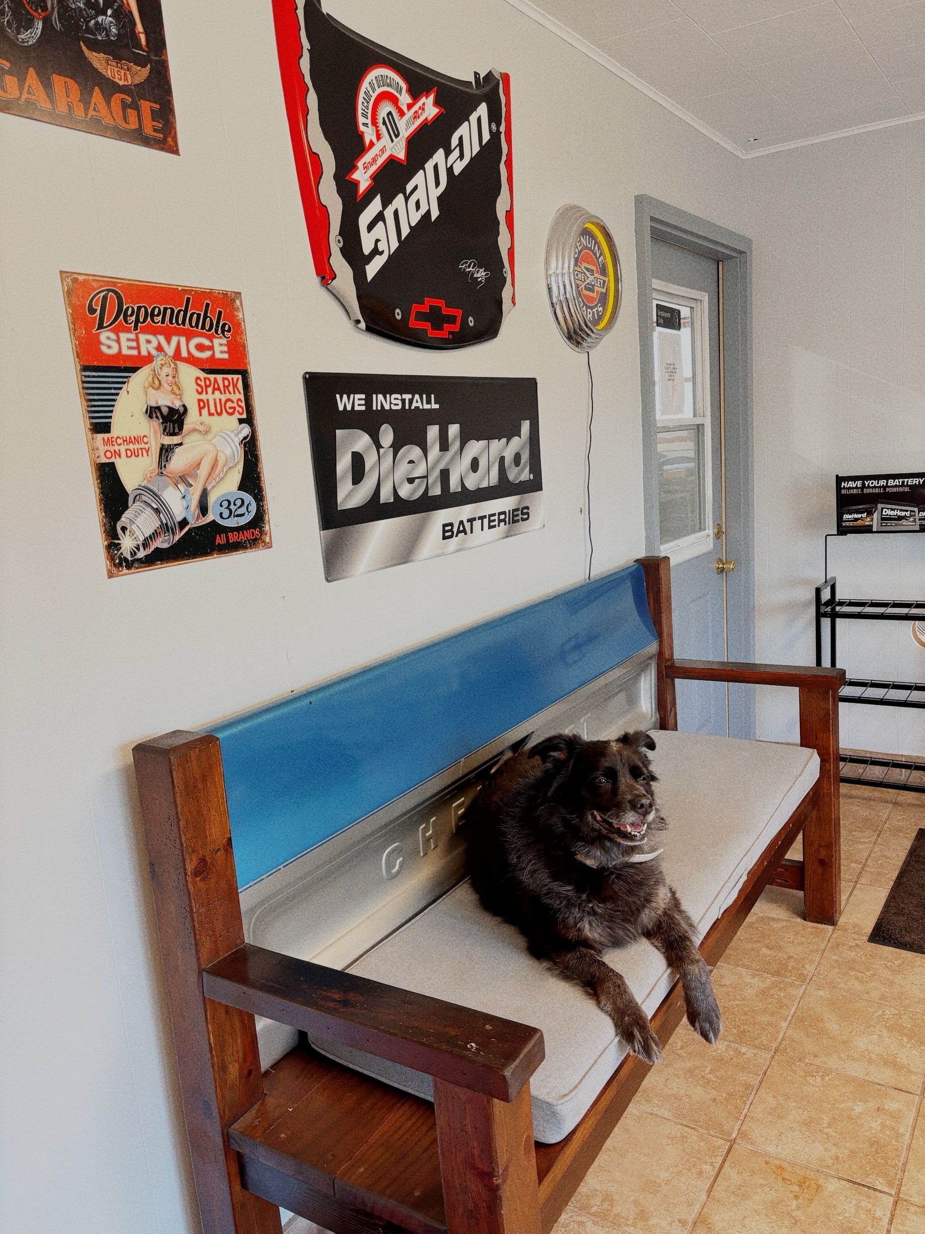 A dog is laying on a bench in a room with a snap on sign on the wall