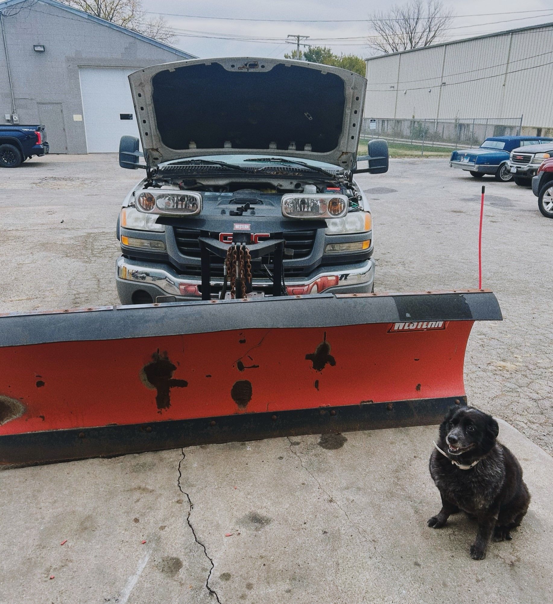 A dog sitting next to a snow plow in a parking lot