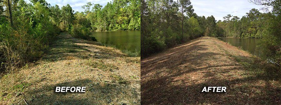 Lake pathway before and after