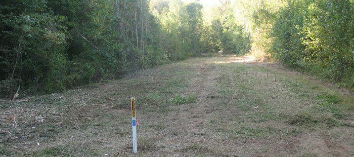 Start to clear driveway