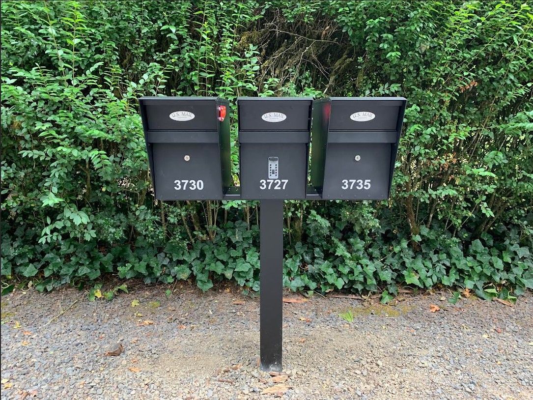 Three black mailboxes on a post in front of green hedges and gravel driveway