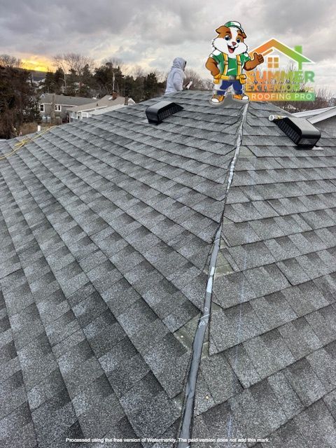 Rooftop with gray shingles. A worker in gray jacket and a cartoon dog stand on the roof, near black vents. Cloudy sky.
