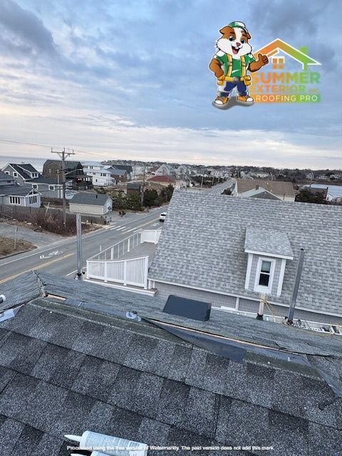View of rooftops with ocean in the background, a cartoon dog mascot, and cloudy sky.