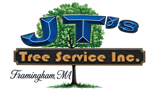 logo-jts-tree-and-landscape