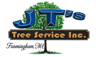 logo-jts-tree-and-landscape