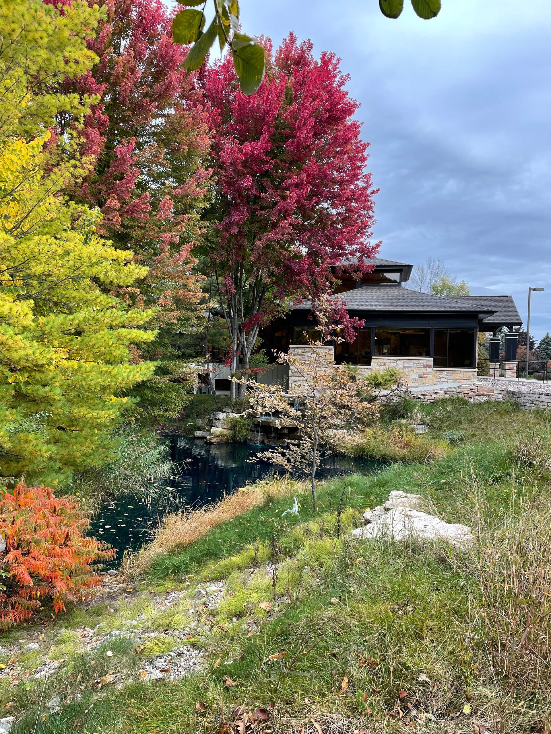 Colorful garden with pink blossoms, green shrubs, and a house beside a small pond under a blue sky