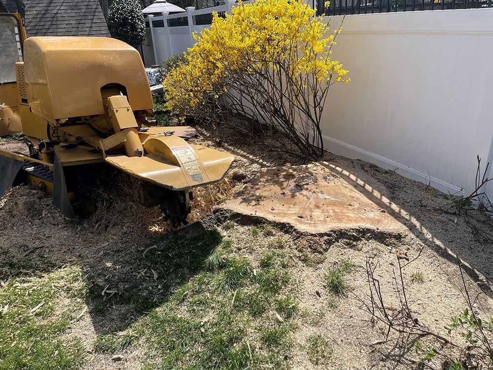 A stump grinder is grinding a tree stump in a yard.