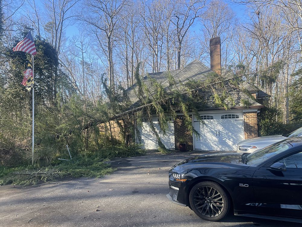 A car is parked in front of a house with a tree fallen on it.
