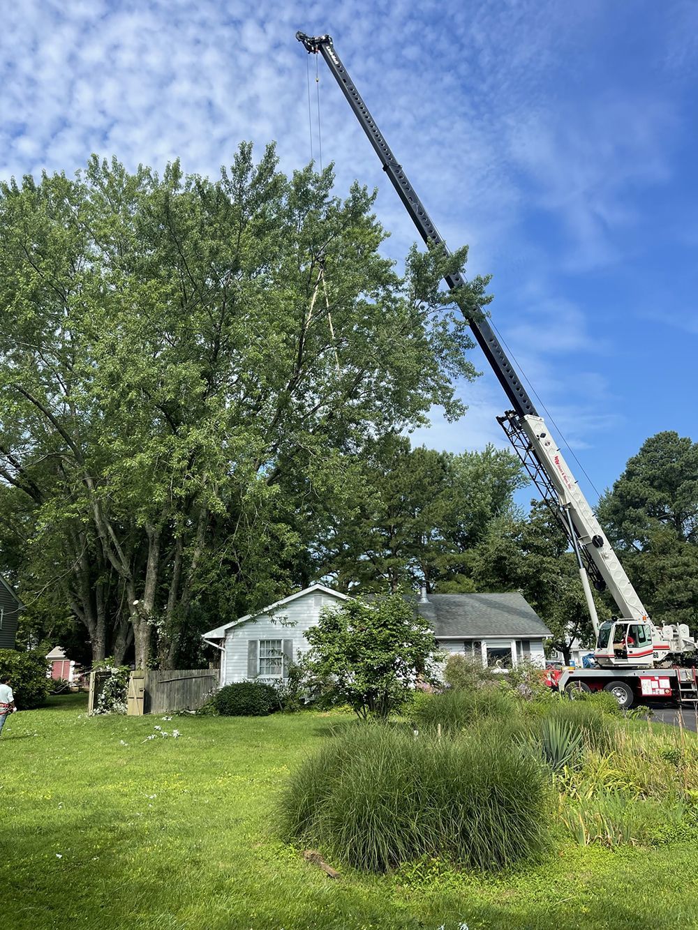 A large crane is lifting a tree in front of a house.