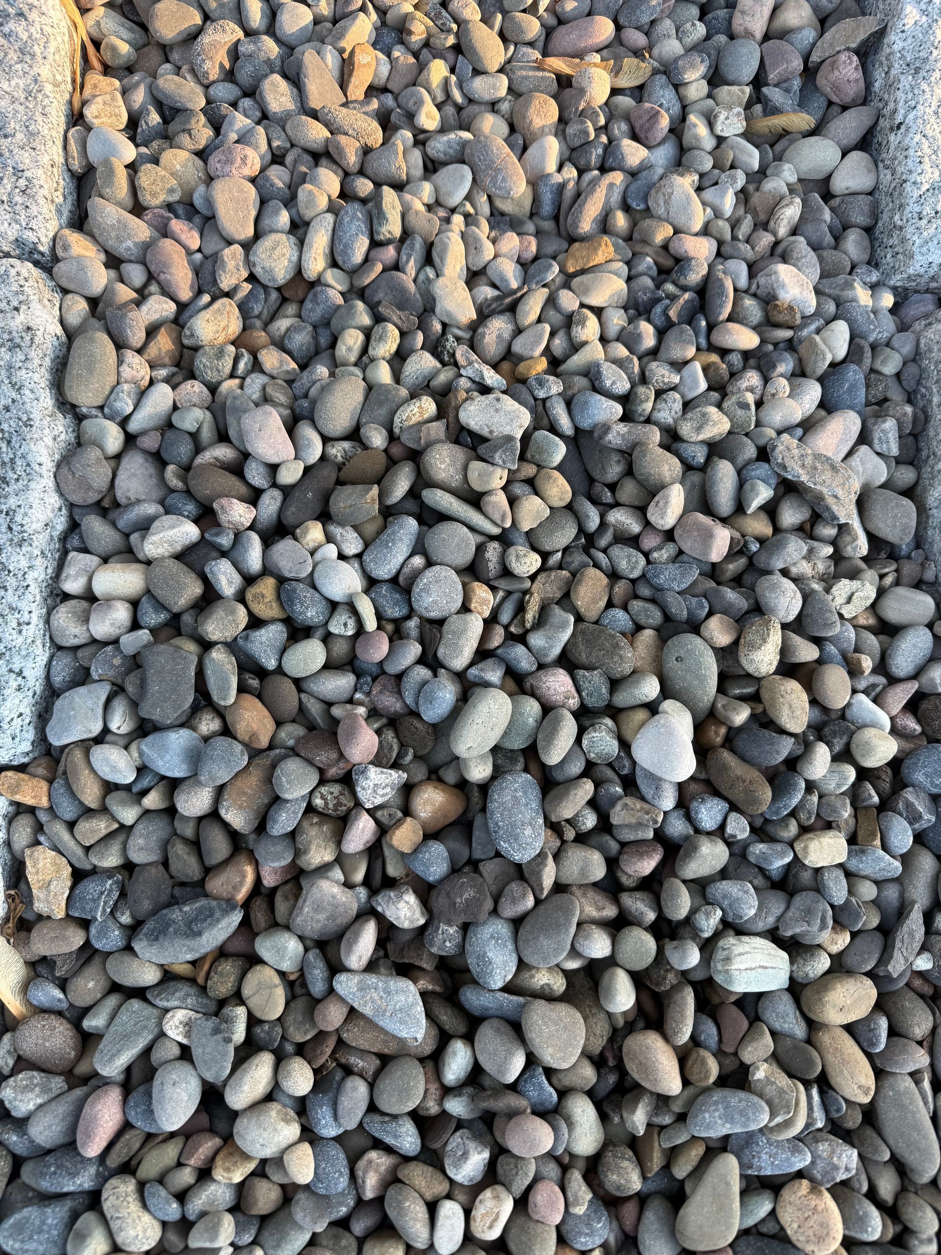Gray pebbles and gravel filling a narrow outdoor space between concrete edges