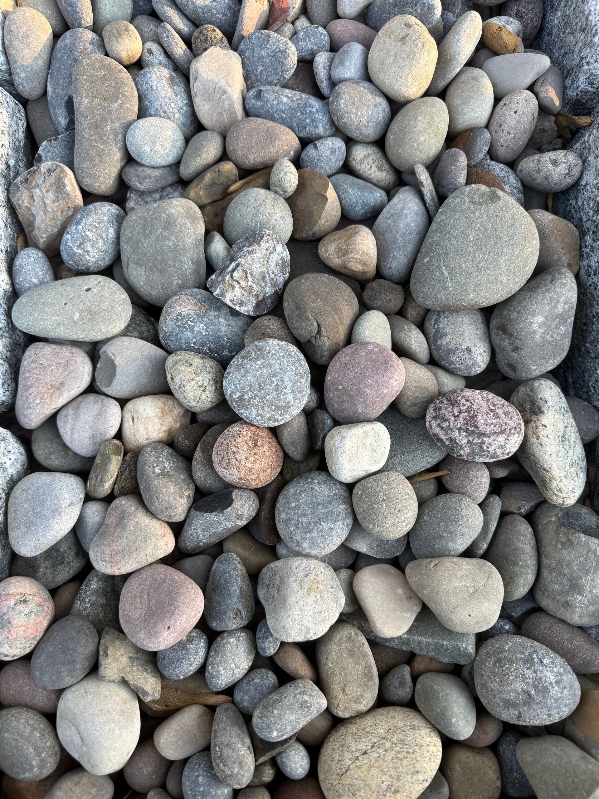 Close-up of smooth gray and tan pebbles filling the frame.