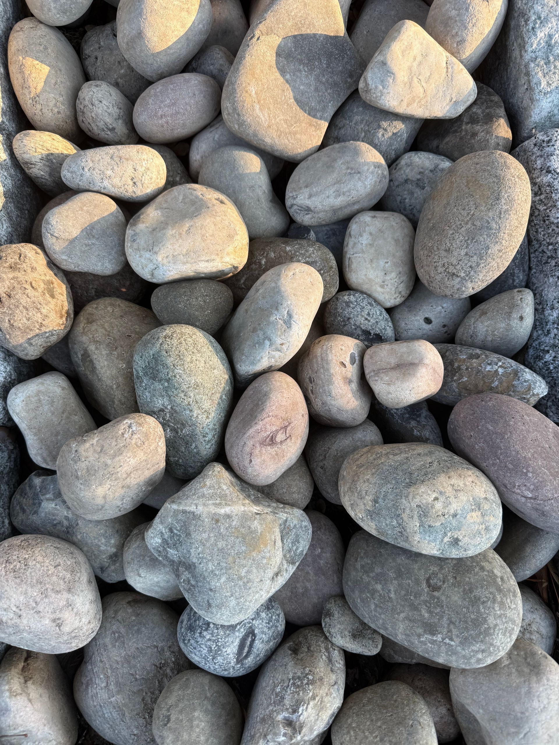 Pile of smooth gray river pebbles with light tan highlights.