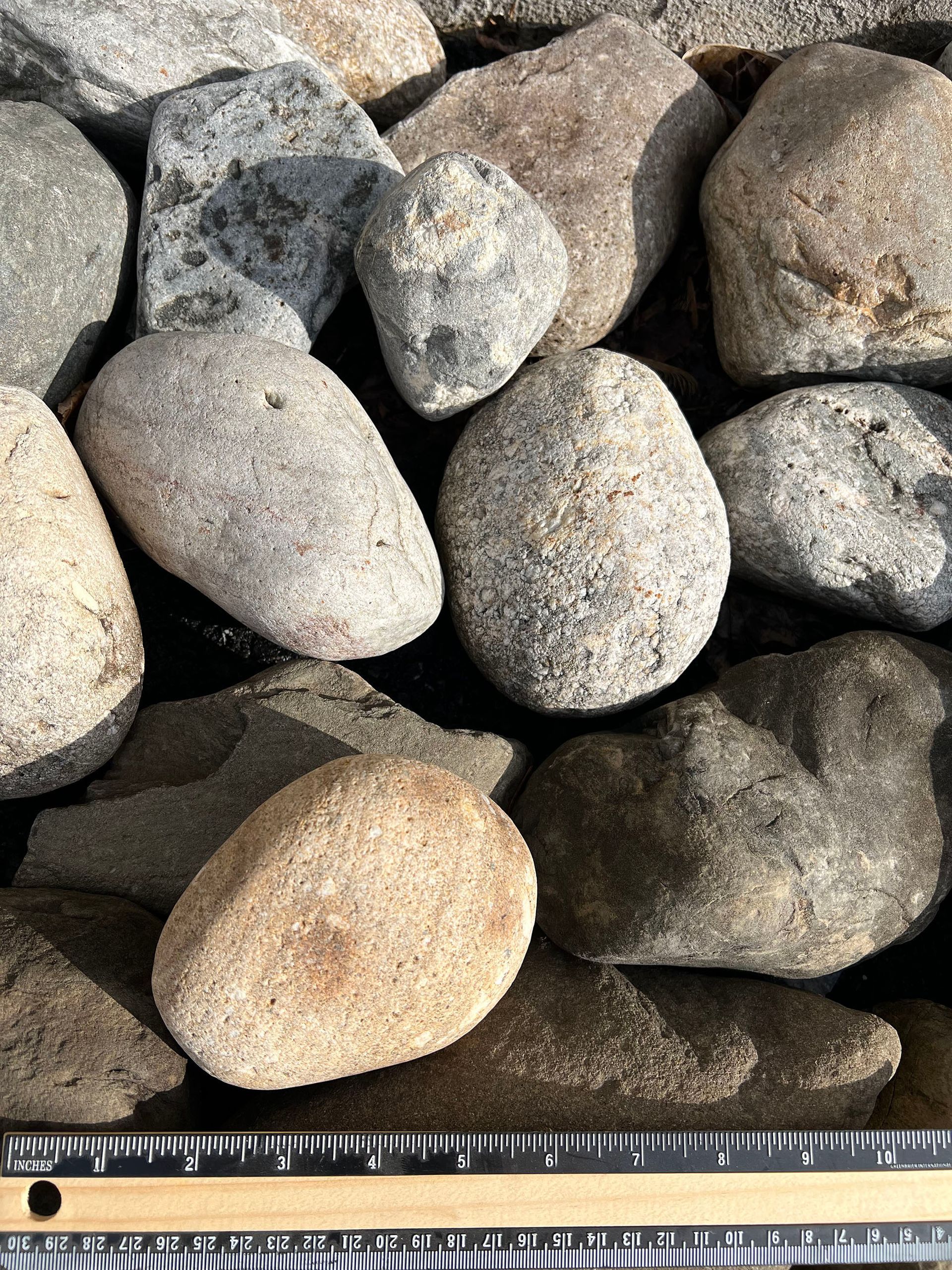 A pile of rocks with a ruler next to them