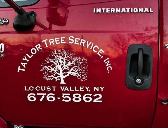 Taylor Tree Service