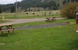Campers | Lincoln City, OR | Chinook Bend RV Resort | 541-996-2032