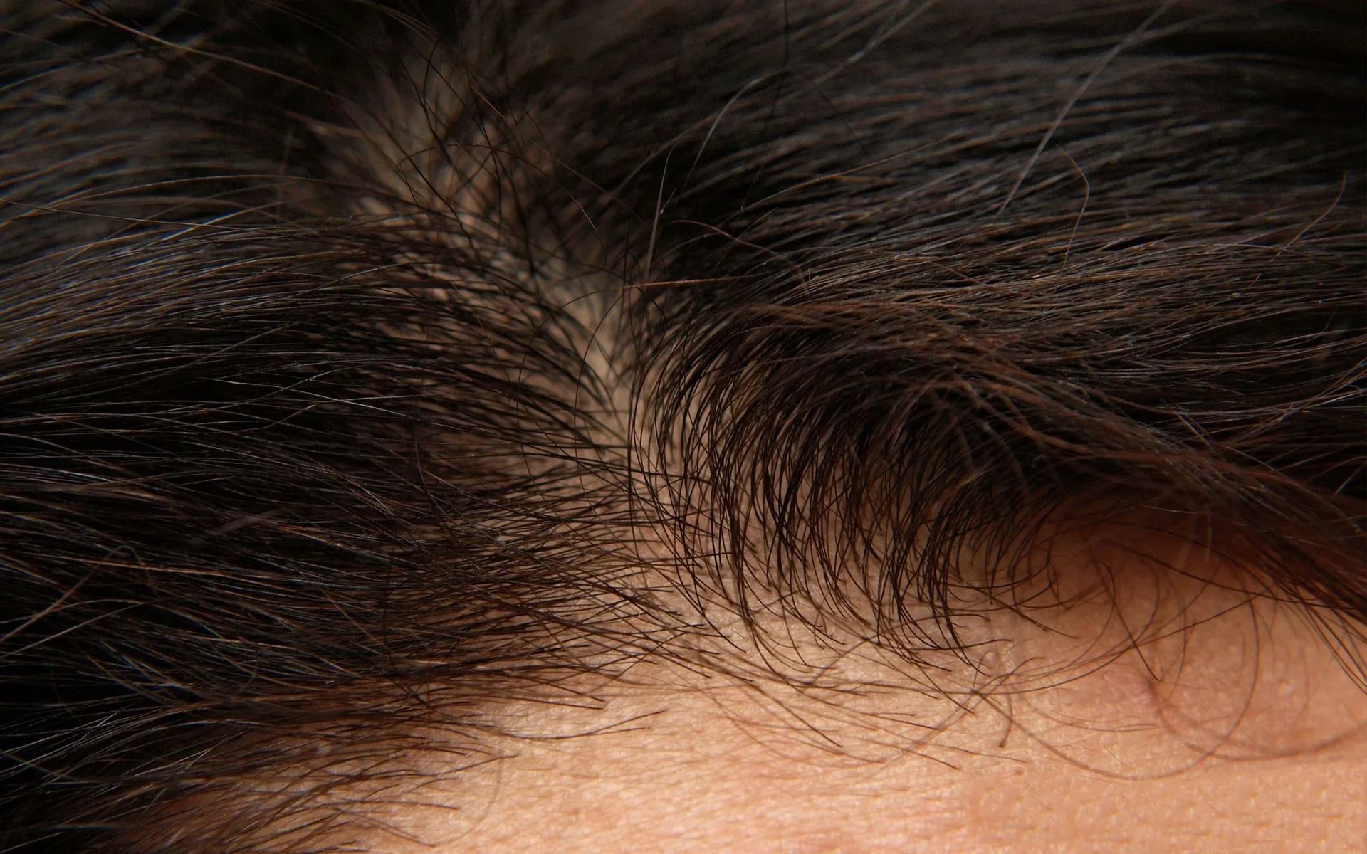 Painted Rock Health and Wellness