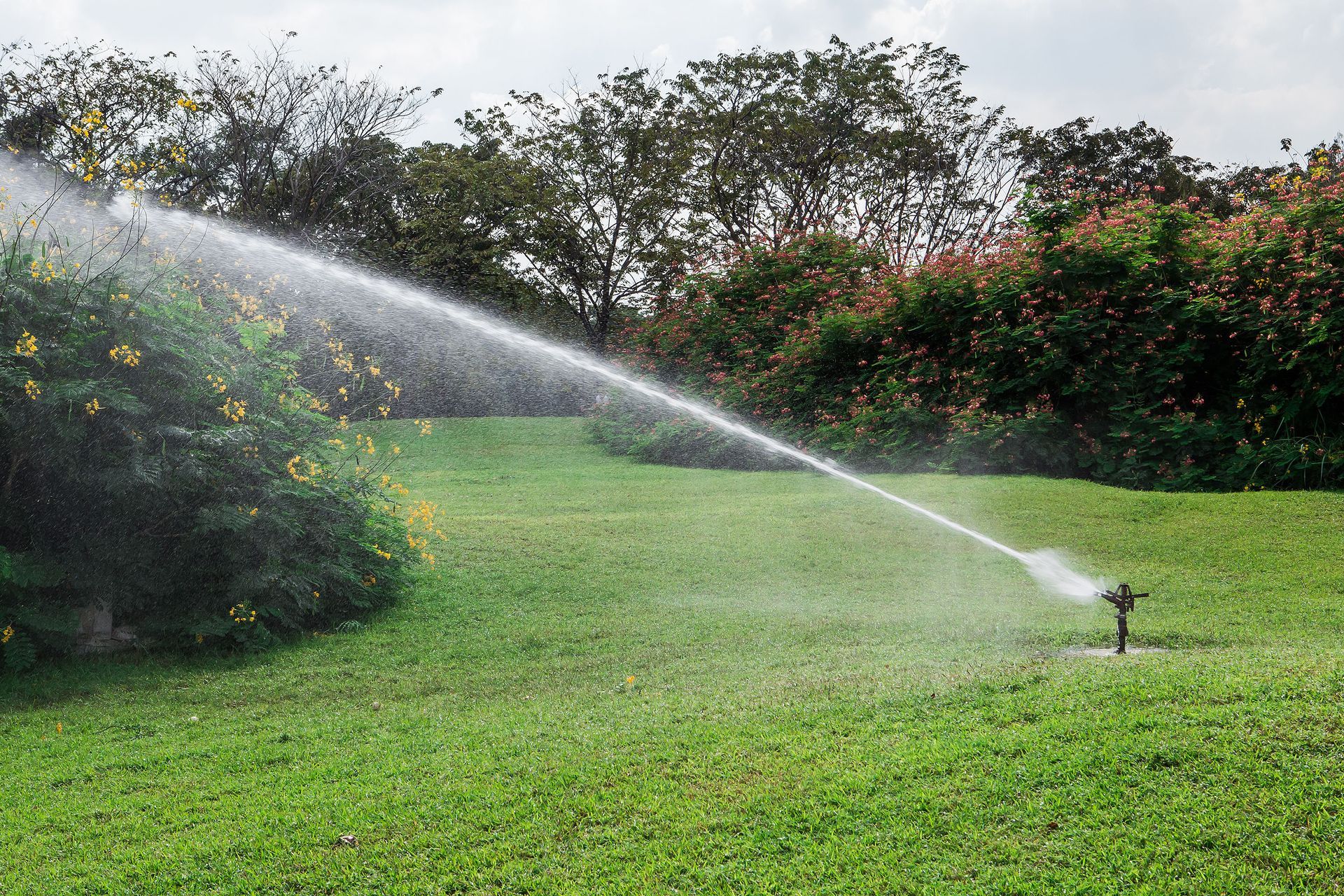 lawn irrigation solutions
