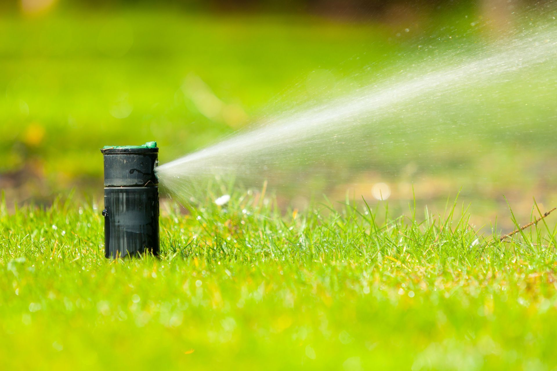 Sprinkler irrigating green lawn, spraying water outward.