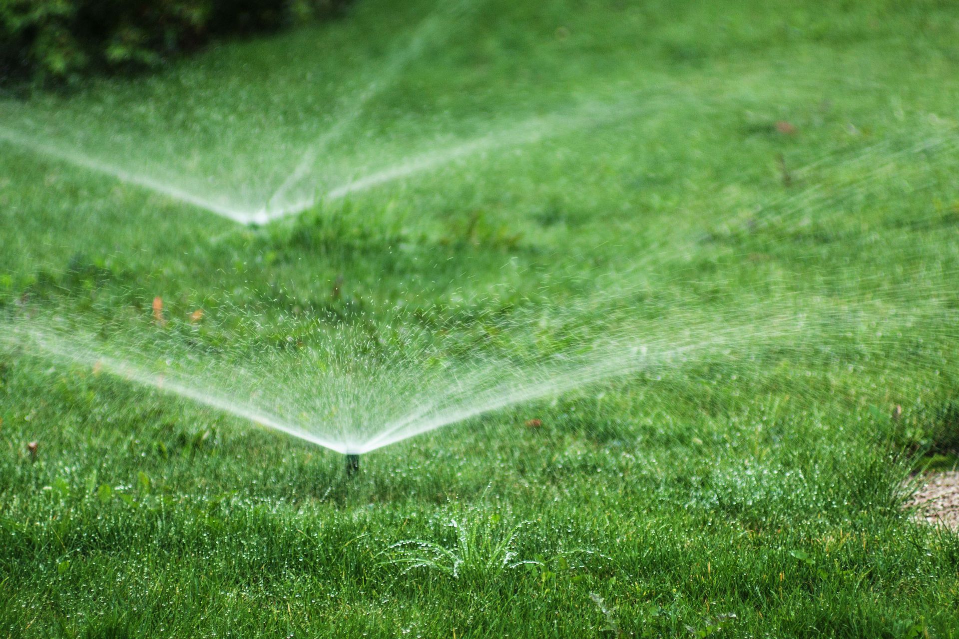 Lawn sprinklers watering green grass in a sunny outdoor setting.