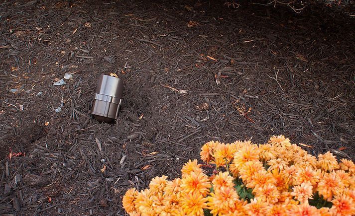 Orange mums and a sprinkler head in dark mulch.