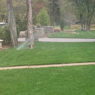 Lush green lawn with a sprinkler spraying water. Trees and a stone wall border the lawn.