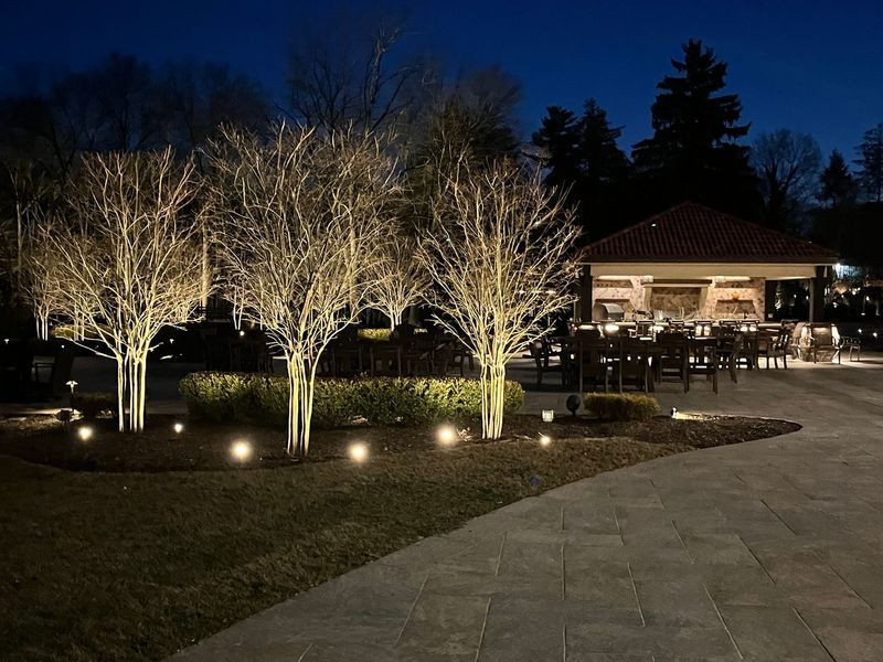 Outdoor nighttime scene. Lit trees in front of an outdoor dining area. Paved walkway. Dark blue sky.