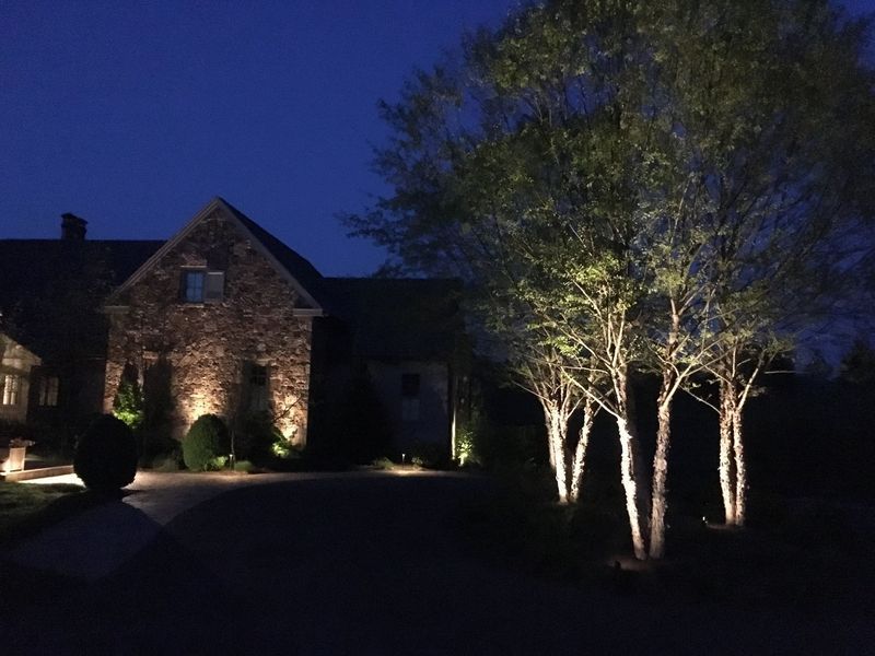 Night view of a stone house with illuminated trees and driveway. The trees have bright lights on their trunks.
