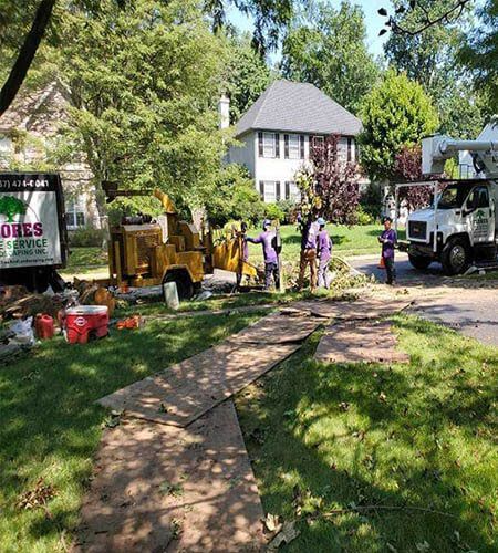 Tree service crew working near a home with a wood chipper, truck, and tools on a sunny day.