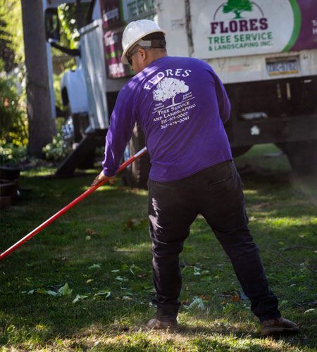 Man raking leaves on grass, wearing purple shirt and hard hat, truck in background.