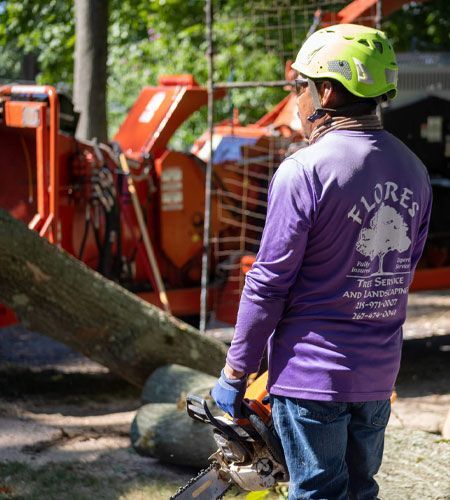 Arborist in purple shirt with chainsaw, near a wood chipper, tree logs, and a wooded area.
