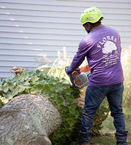 Man in purple shirt, helmet, and jeans using a chainsaw to cut a tree trunk.