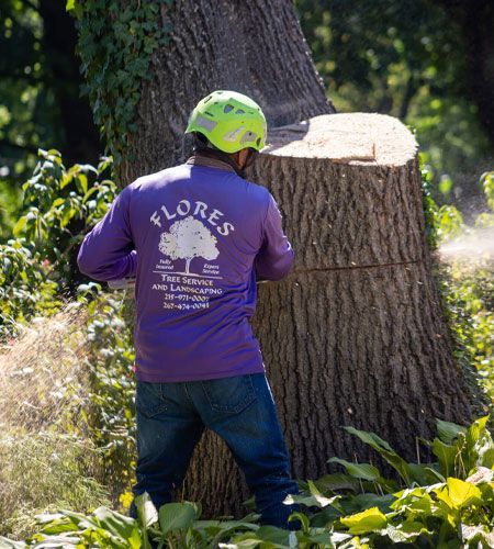 Person in purple shirt and neon green helmet cutting a tree trunk with a chainsaw outdoors.