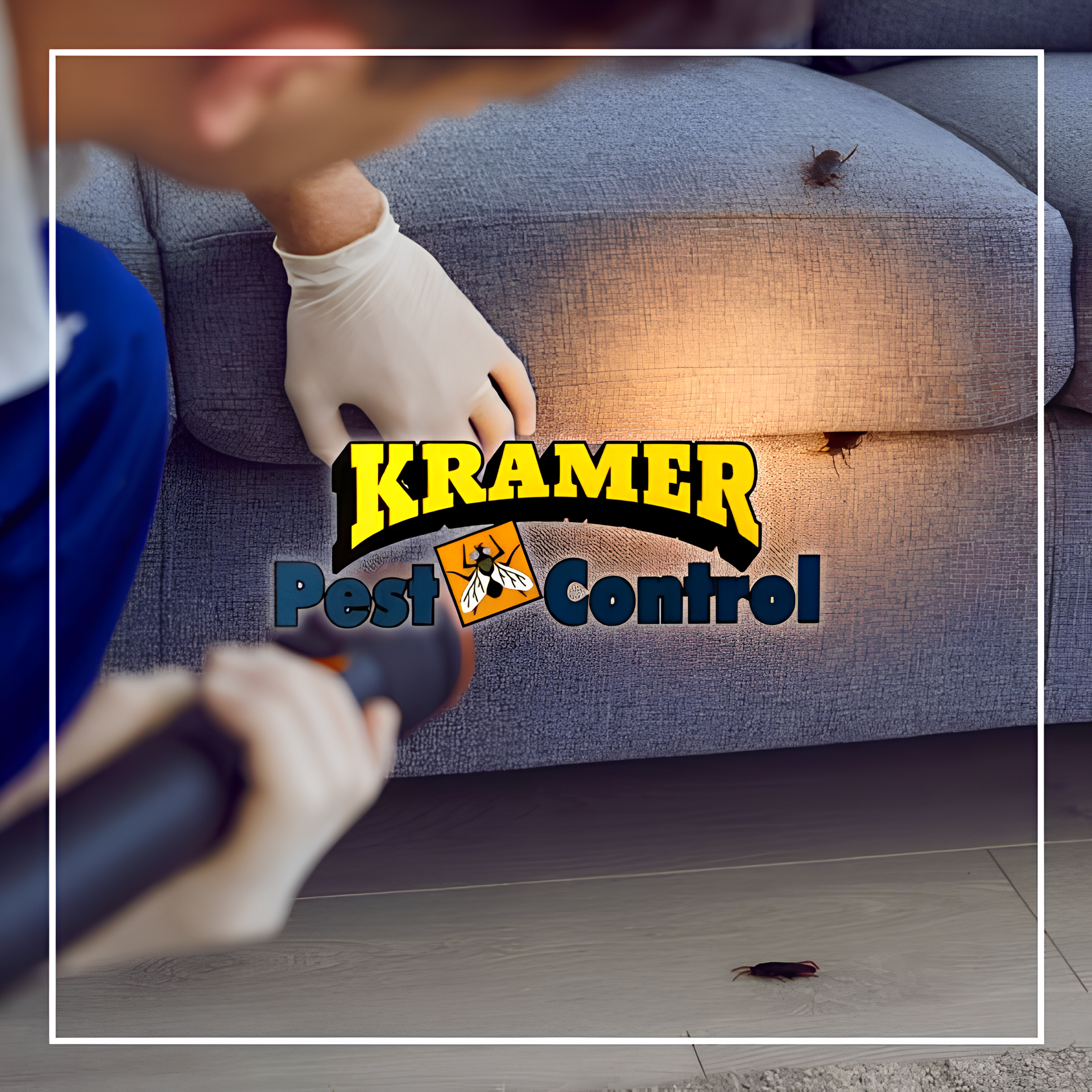 Pest control technician inspecting sofa for cockroaches with a flashlight.