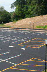A parking lot with a lot of parking spaces and trees in the background.