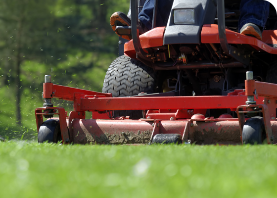 Lawn mowing service
